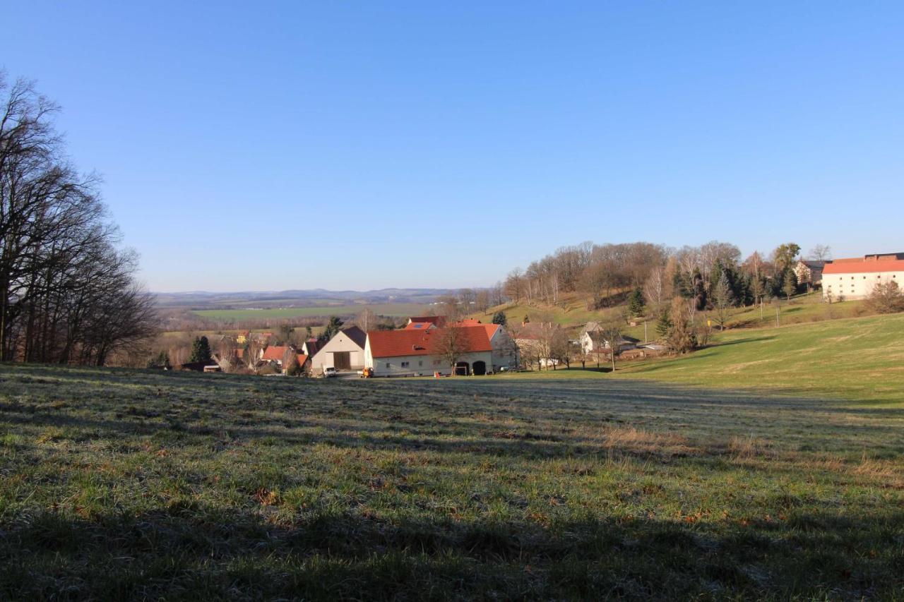 Wiesenblick Apartment *