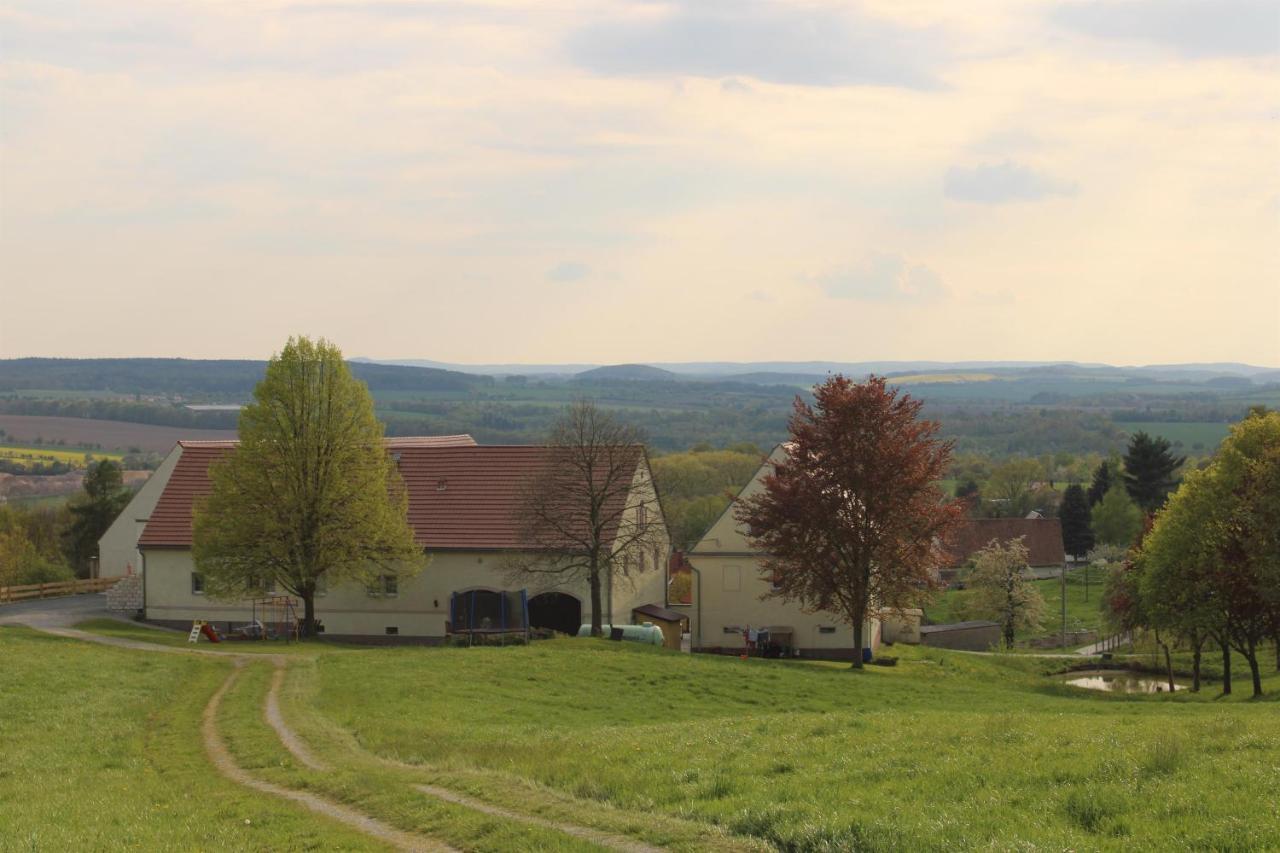 Wiesenblick Pirna